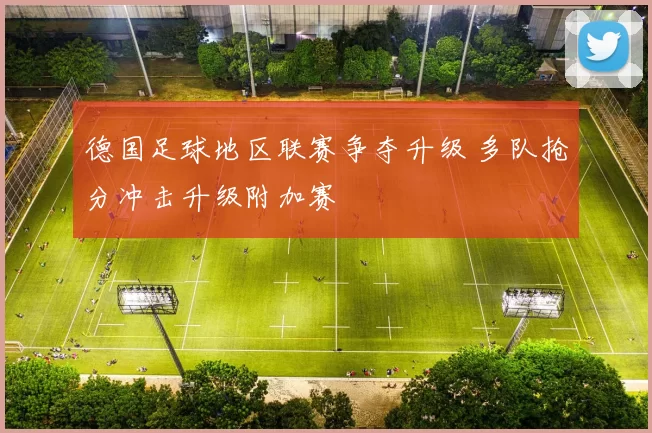 德国足球地区联赛争夺升级 多队抢分冲击升级附加赛