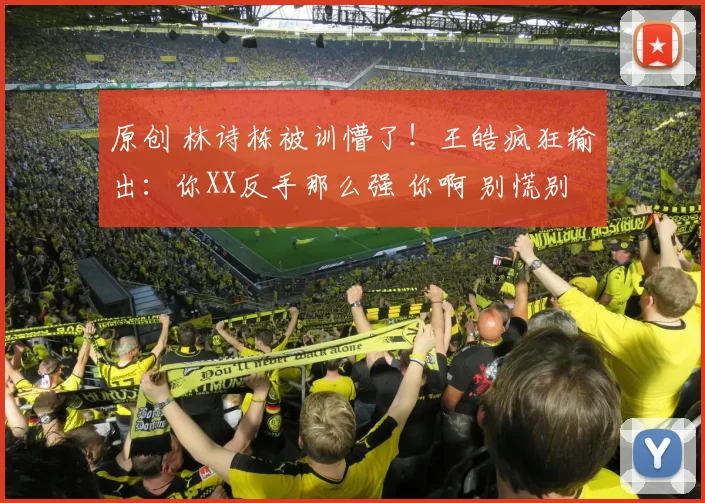 原创 林诗栋被训懵了！王皓疯狂输出：你XX反手那么强 你啊 别慌别乱啊