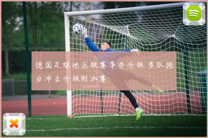 德国足球地区联赛争夺升级 多队抢分冲击升级附加赛